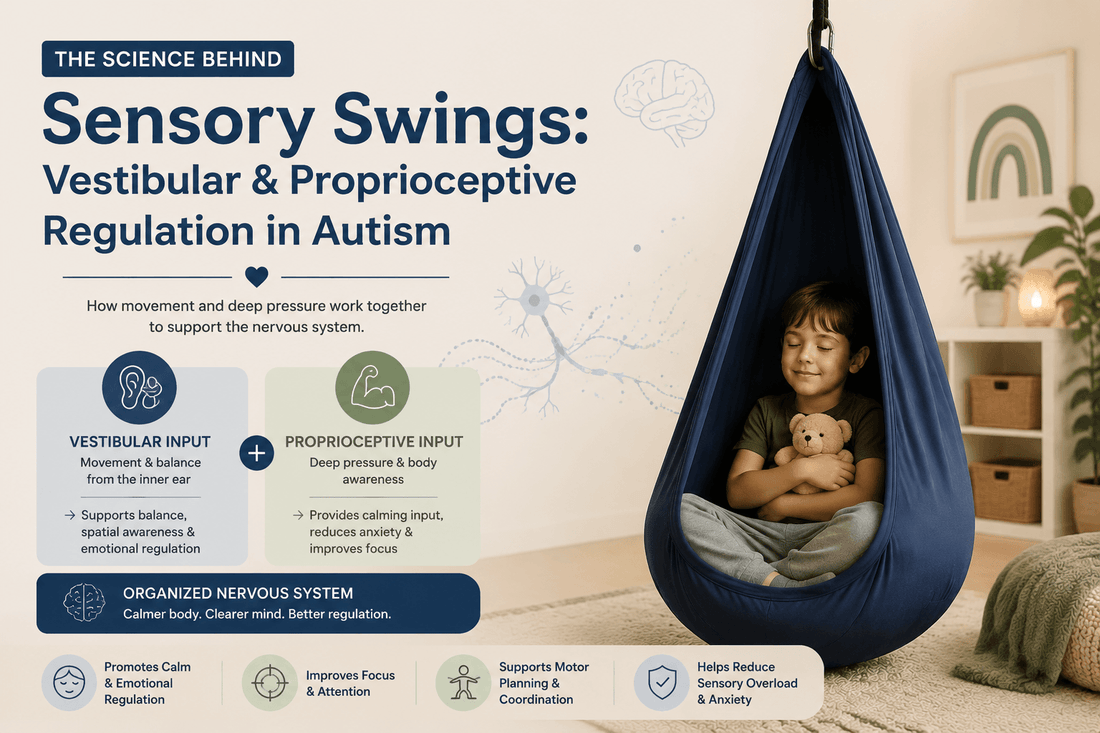 The Science Behind Sensory Swings: Vestibular & Proprioceptive Regulation in Autism